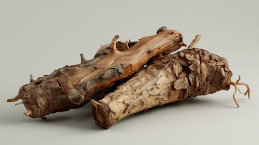 Photorealistic image of Eurycoma Longifolia (Tongkat Ali) roots, showcasing their intricate, woody texture and a deep green hue, presented against a clean, neutral background, with a focus on the natural, earthy details of the plant.