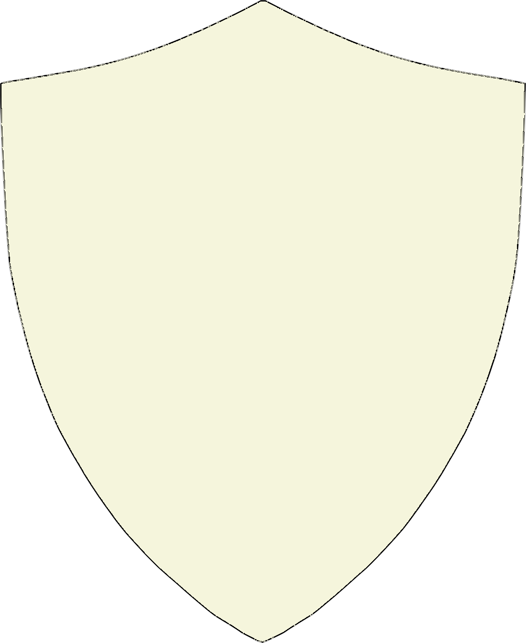 Secure Checkout Shield